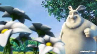 Streaming video animation